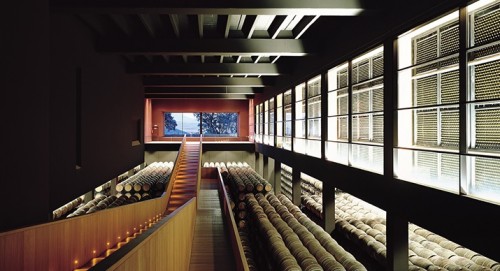 sala de barricas bodega