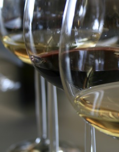 visita bodegas